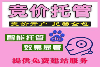 知乎信息流广告投放策略的优化与案例探讨